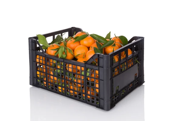 Čerstvé zralé mandarinky v bedně. — Stock fotografie