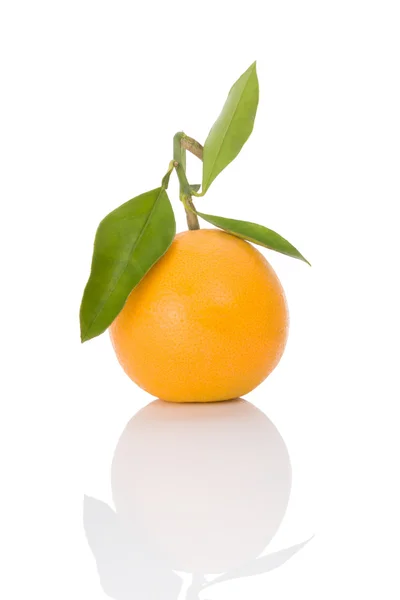 Bir portakal beyaza izole edilmiş. — Stok fotoğraf