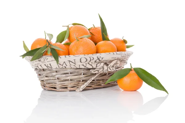 Mandarines in white wooden basket. — Stock Photo, Image