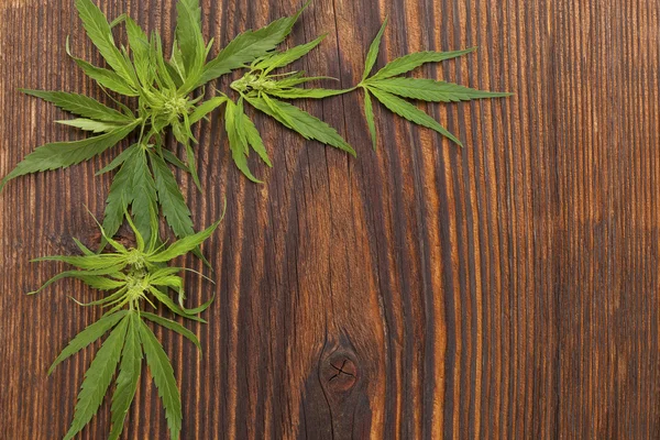 Wooden cannabis background. — Stock Photo, Image