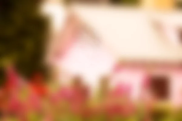 Blurry background photo of bush of pink flowers in garden — Stock Photo, Image