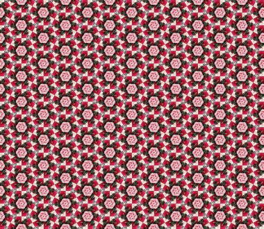 pembe ve beyaz gül arka plan 