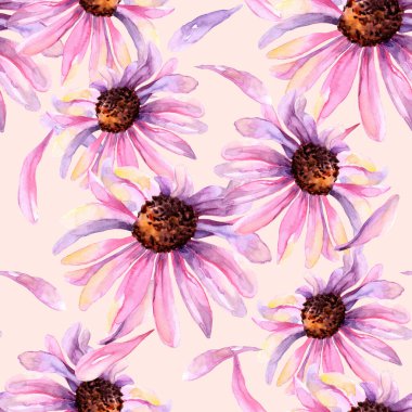 Rudbeckia. Ekinezya çiçekleri kusursuz desen. Çiçekli suluboya çizimi.