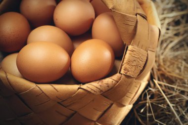 Sepetteki taze kahverengi tavuk yumurtaları ve ahırdaki samanlıktan çıkan bir yuvada