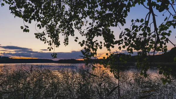 Vista a través del follaje del lago durante la puesta del sol —  Fotos de Stock