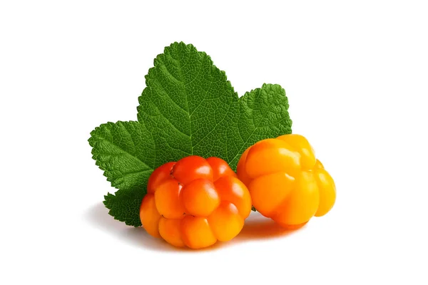 Dos moras con una hoja aislada sobre un fondo blanco con camino de recorte con y sin sombra Fotos De Stock