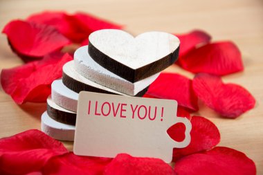 Sevgililer günün kutlu olsun.