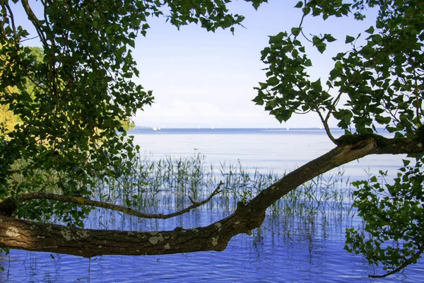 Фото: озеро Констанция — стоковое фото