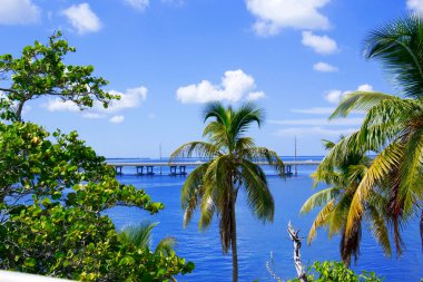 Bahia honda Devlet Parkı