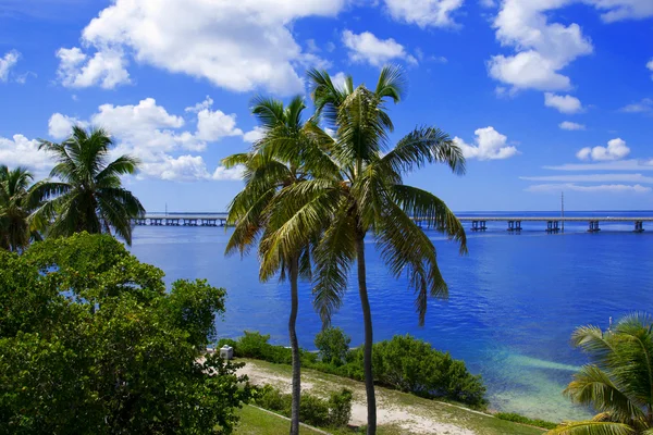 Bahia honda parque estatal — Foto de Stock