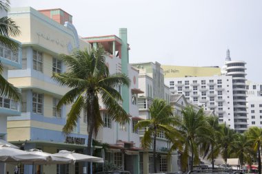 Miami Plajı Florida