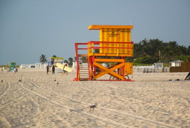 Miami Plajı Florida