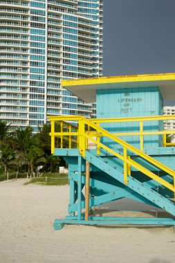 Miami Plajı Florida