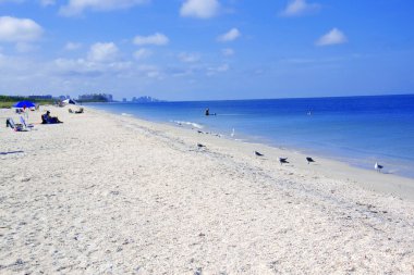 barefoot beach flordia fotoğrafı