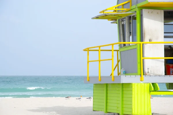 Miami spiaggia florida — Foto Stock