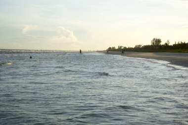 sanibel Adası'nda günbatımı 