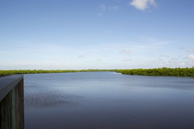 Sanibel Adası Florida