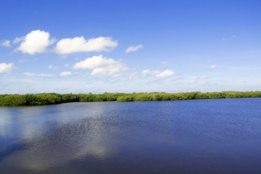 Sanibel Adası Florida
