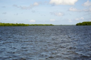 Sanibel Adası Florida