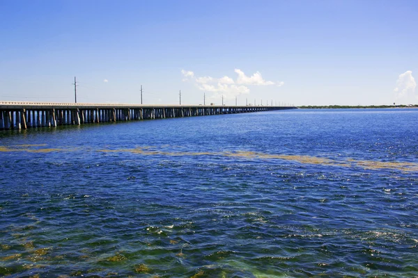 Bahia Honda State park — Stockfoto