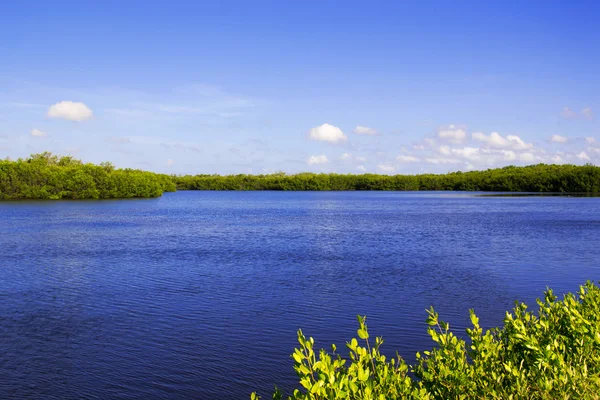 Sanibel insel florida — Stockfoto