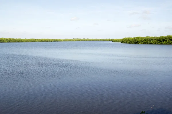 Sanibel insel florida — Stockfoto