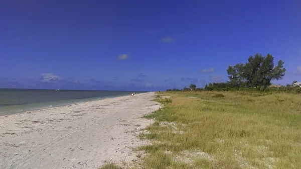 Sanibel Island Florida — kuvapankkivalokuva