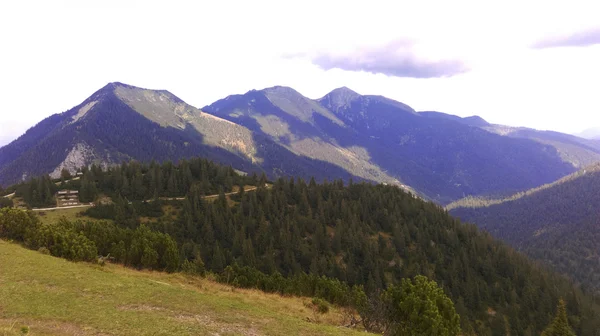 Rangelei in Bayern — Stockfoto