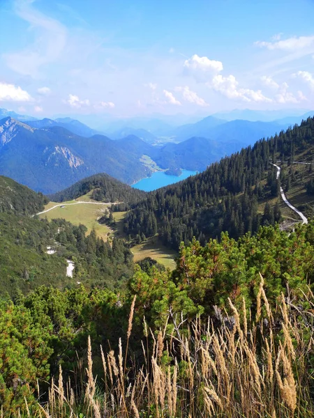 Herzogstand Montaña Bavaria — Foto de Stock