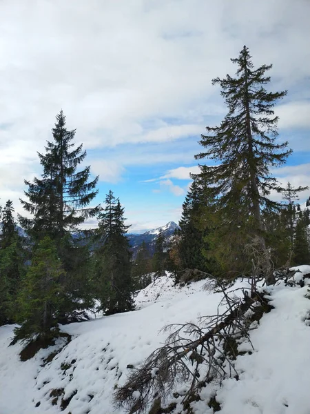 Rotwand Une Montagne Bavière — Photo