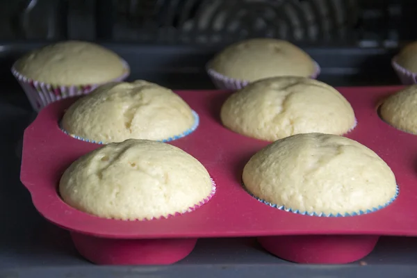 Muffins — Stockfoto