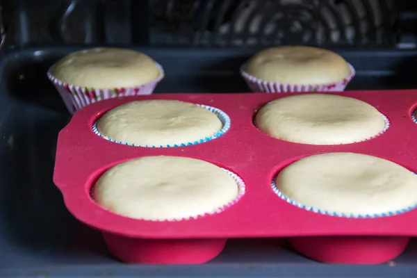 Muffins — Stockfoto