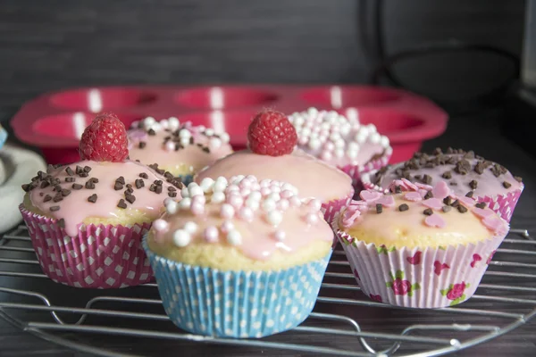 Muffins — Stock Photo, Image