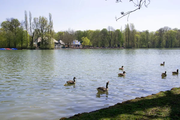 München — Stockfoto