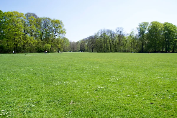 Münih