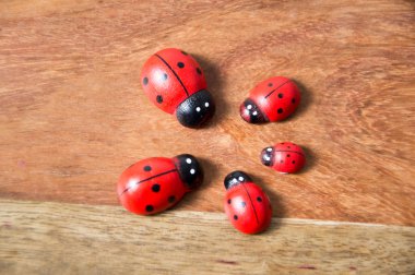 Ladybirds ağaçtan