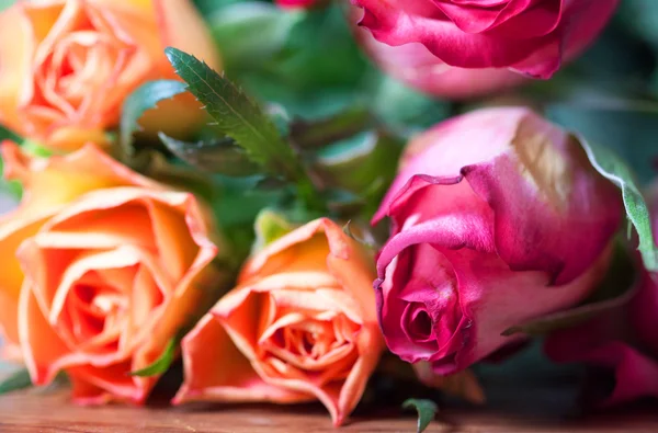 Detalhe de rosas — Fotografia de Stock