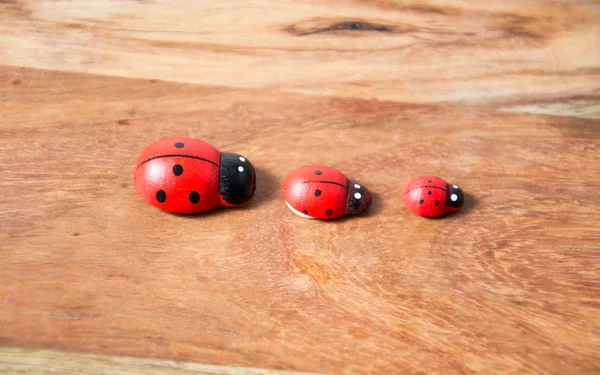 Ladybirds made of wood — Stock Photo, Image