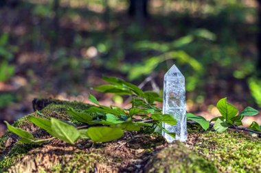 Magic still life with quartz crystal on nature background. Rocks for mystic ritual, witchcraft Wiccan or spiritual healing on stump in forest. Ritual for love. Meditation reiki. clipart