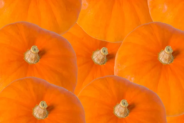 Abstrackt Creative Background Pumpkins Autumn Harvest Festive Thanksgiving Day Halloween — Stock Photo, Image