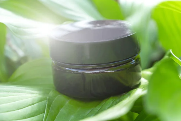 Black jar (container) with beauty products: face cream or facial mask among green leaves. Natural organic skin care. Cosmetology mock up