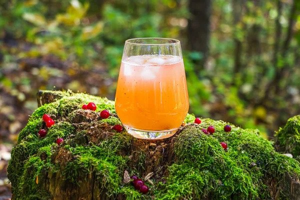 苔で覆われた木の上のガラスの屋外で赤い果実で飾られたアプリコットドリンク 氷のキューブと冷たい黄色のカクテル 夏のアルコール飲料と風景静物画 — ストック写真