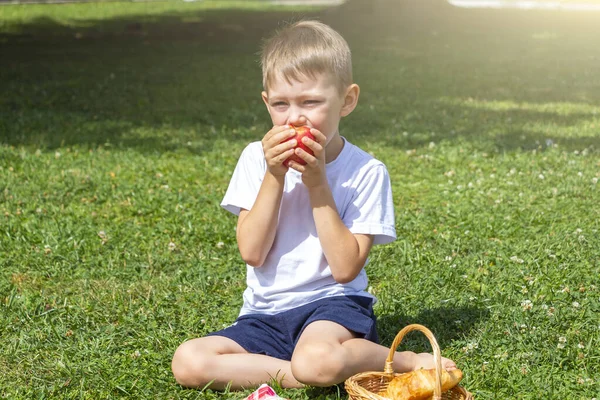 Little Boy Kid Years Old Eats Apple Sitting Green Grass — Stock Photo, Image