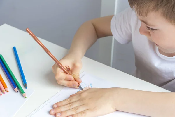 Fokuserad Förskolebarn Ritar Omsorgsfullt Med Blyerts Göra Läxor Teckna Utbilda — Stockfoto