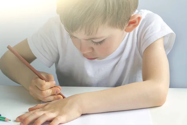 Fokuserad Förskolebarn Ritar Omsorgsfullt Med Blyerts Göra Läxor Teckna Utbilda — Stockfoto