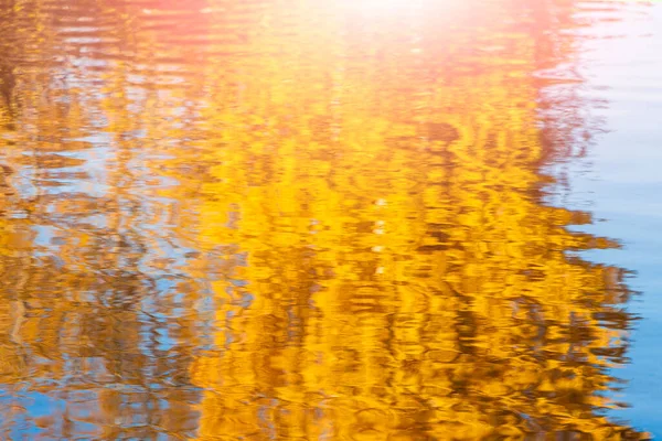 Природный Осенний Пейзаж Отражение Желтой Оранжевой Листвы Воде Озере Пруду — стоковое фото