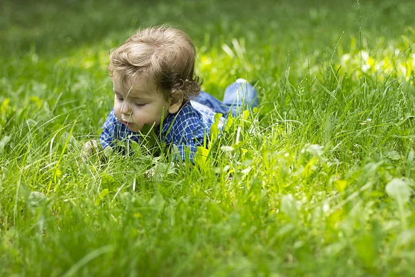 Schönes Kind, das im grünen Gras sitzt. Kind im Freien. Kinder gehen. Spaziergang mit dem Kind. Sommerferien — Stockfoto