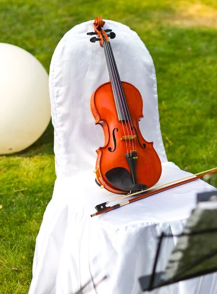ヴァイオリン。ヴァイオリン屋外。ライブ音楽。結婚式の Wedding.Musician。オープン空の下でヴァイオリン — ストック写真