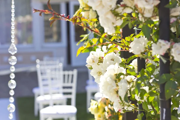 Hochzeitsbogen im Freien. natürliche Blumen. Dekor. Floristik. Brautstrauß. weiße Hochzeitsstühle. Hochzeitsinterieur — Stockfoto