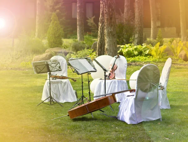 Violin. Violin outdoors. Live music. Wedding.Musician for the wedding.Violin under the open sky